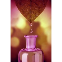 1422062657039-654257882